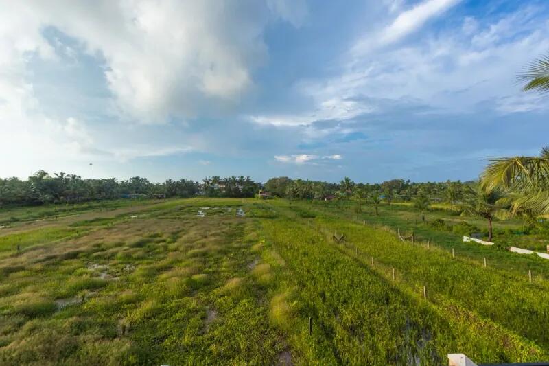 Meadow View | Luxe 1BHK w/ Pool & Field Views